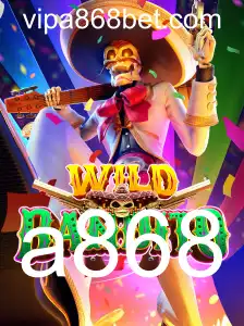 Explorando o Mundo do Jogo WildBandito